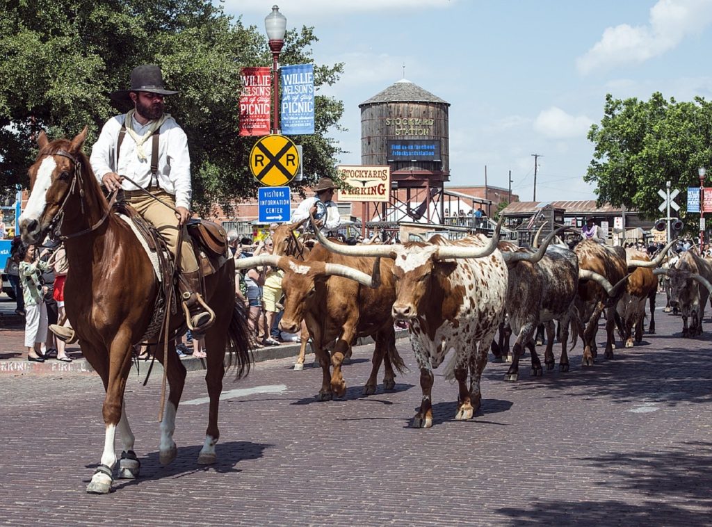 Things To Do In Fort Worth | Stock Show & Rodeo